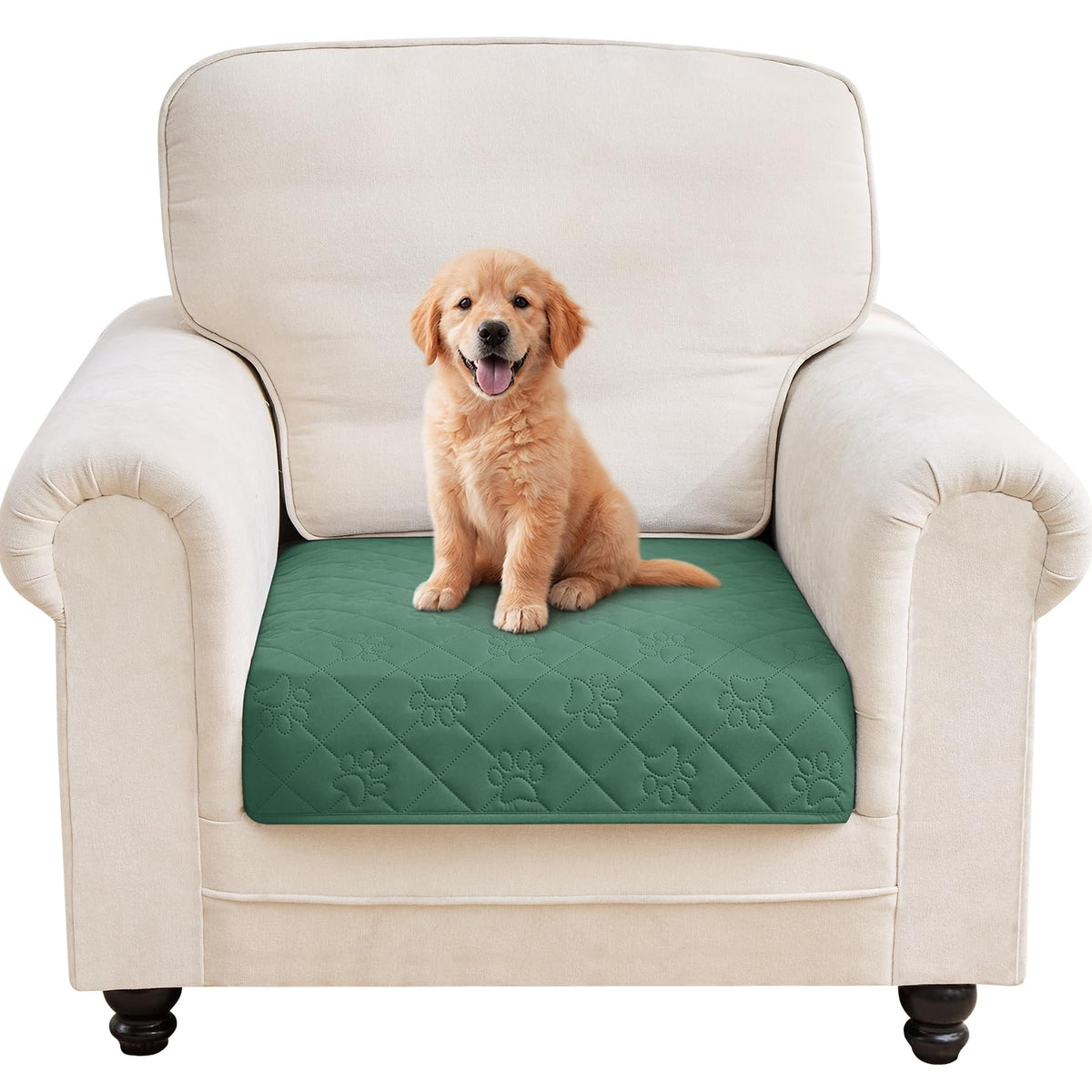 PAWFINITY Waterproof Dog Blanket for Couch, Sofa & Bed, Washable Pet Furniture Cover Covers for Pets