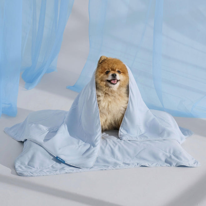 Bedsure Cooling Blanket for Dogs & Cats with Air-Core Fill
