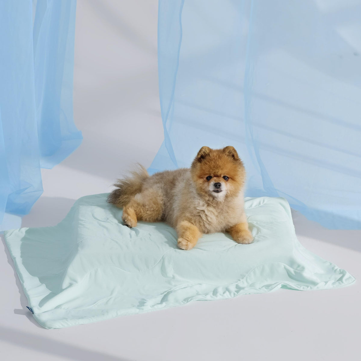 Bedsure Cooling Blanket for Dogs & Cats with Air-Core Fill