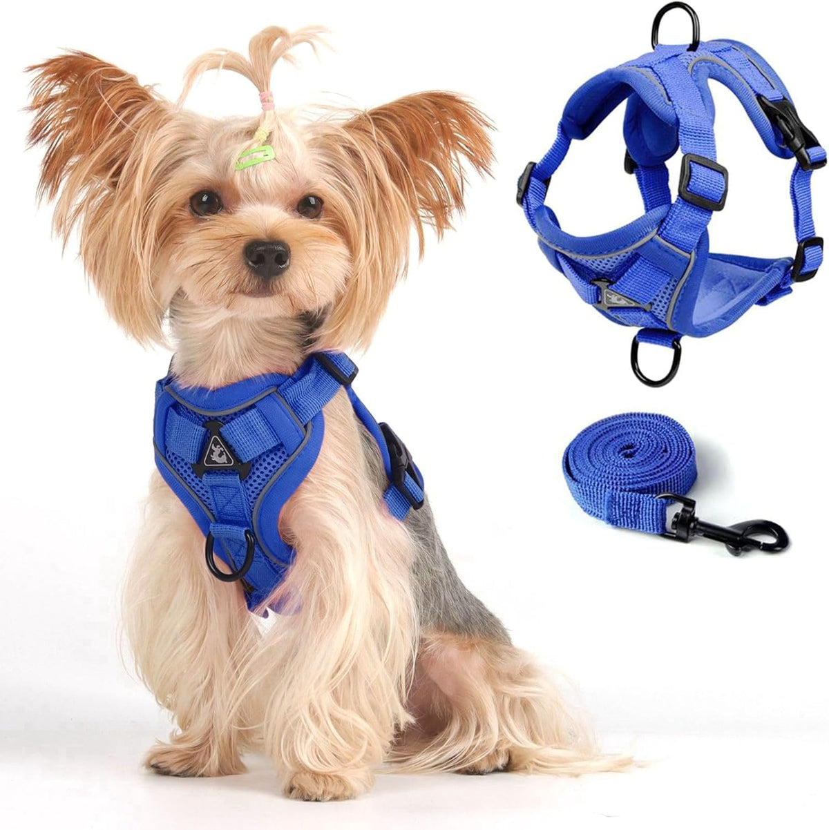 CAT Harness