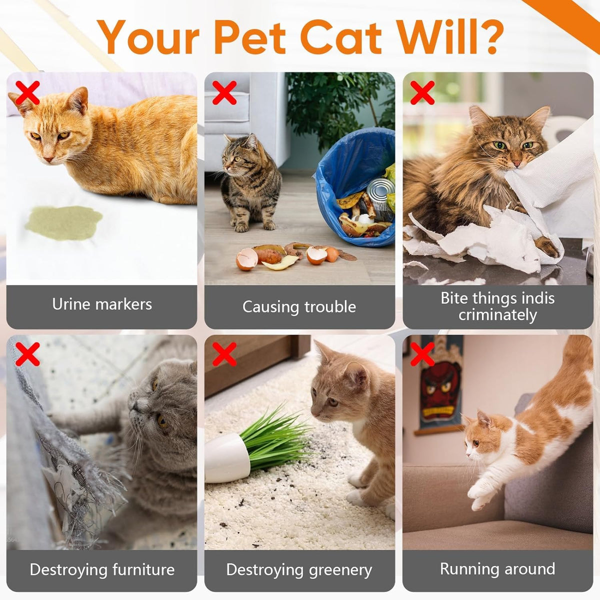 TPBEHMZ Cat Deterrent Spray 2 Pack, Natural Non-Toxic Plant Based Anti-Scratch & Anti