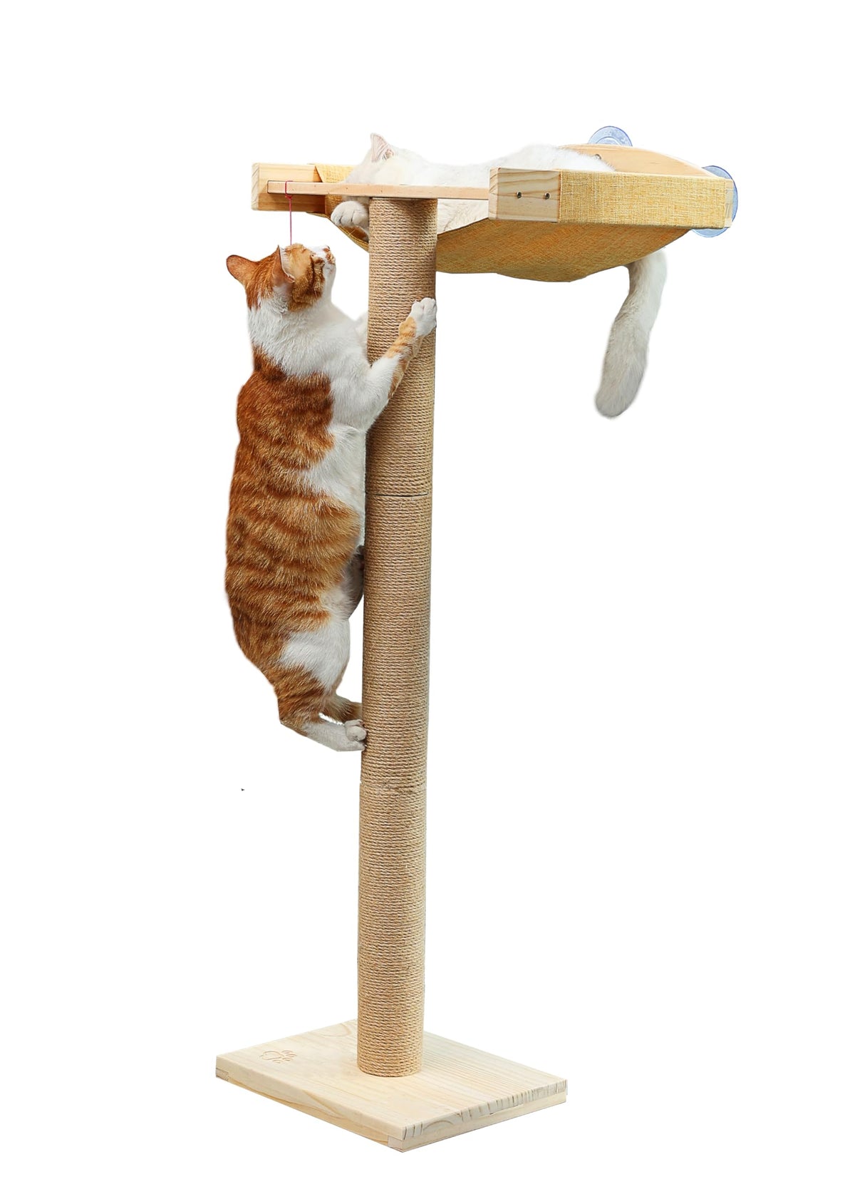 Cat Window Perch with Tall Scratching Posts, Inside Climbing Tree Hammmock Mounted with Suction Cups for Sleeping,Playing and Watching Birds