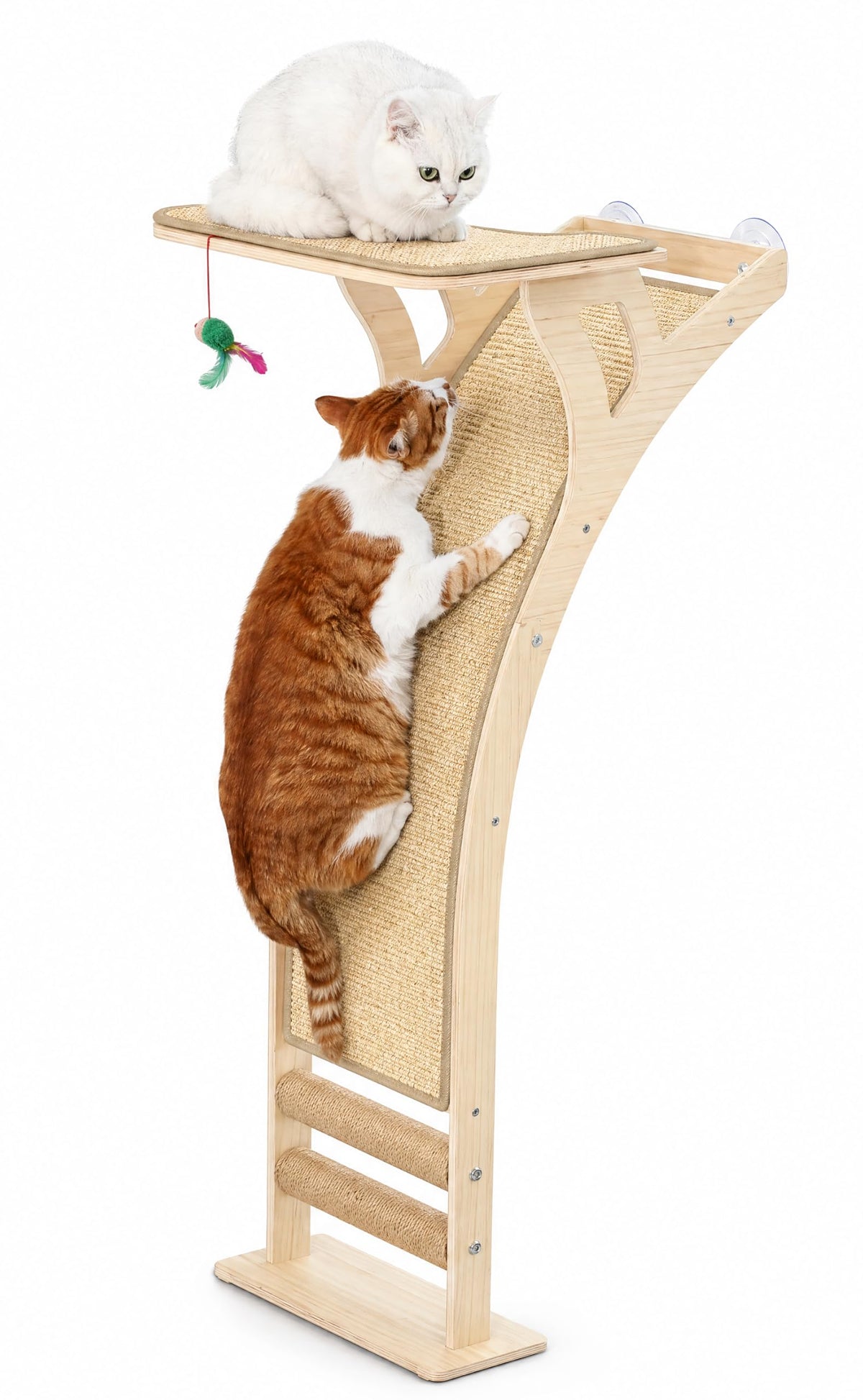 Cat Window Perch with Tall Scratching Posts, Inside Climbing Tree Hammmock Mounted with Suction Cups for Sleeping,Playing and Watching Birds