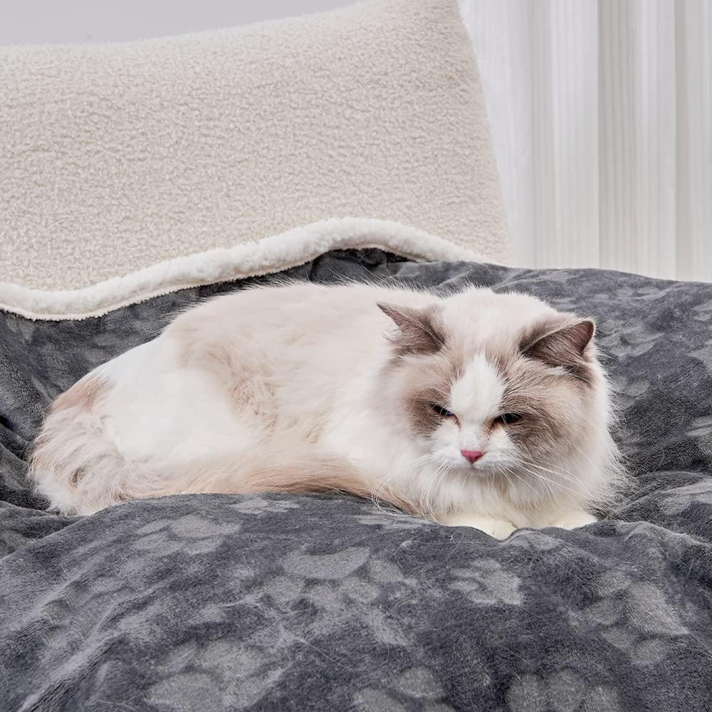 Qeils Waterproof Cat Blanket, Soft Pet Blanket for Sofa Couch