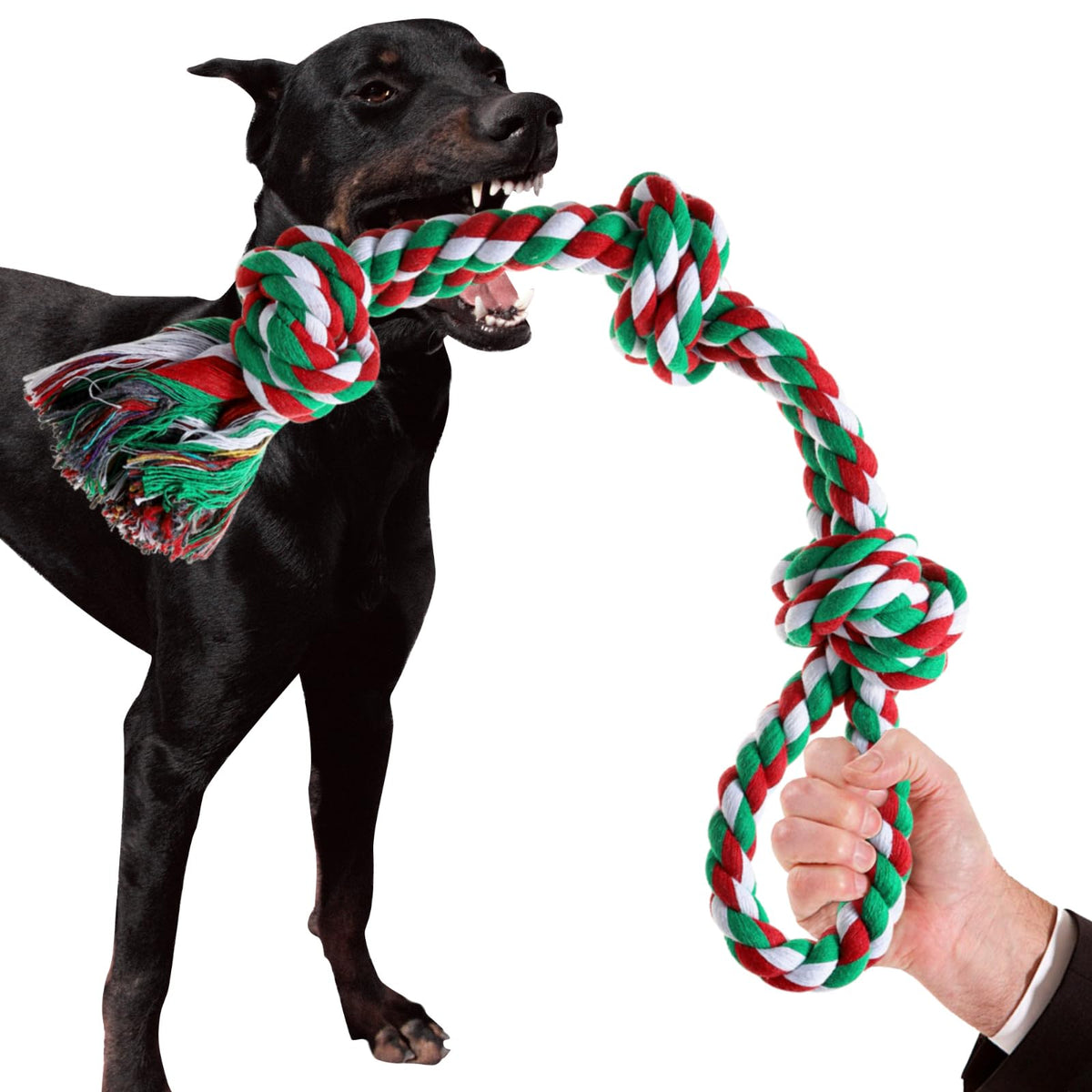 XIGOU Indestructible Dog Toys - Tough Puppy Chew Toys for Aggressive Chewers, Dental Cleaning Tug of War Toy