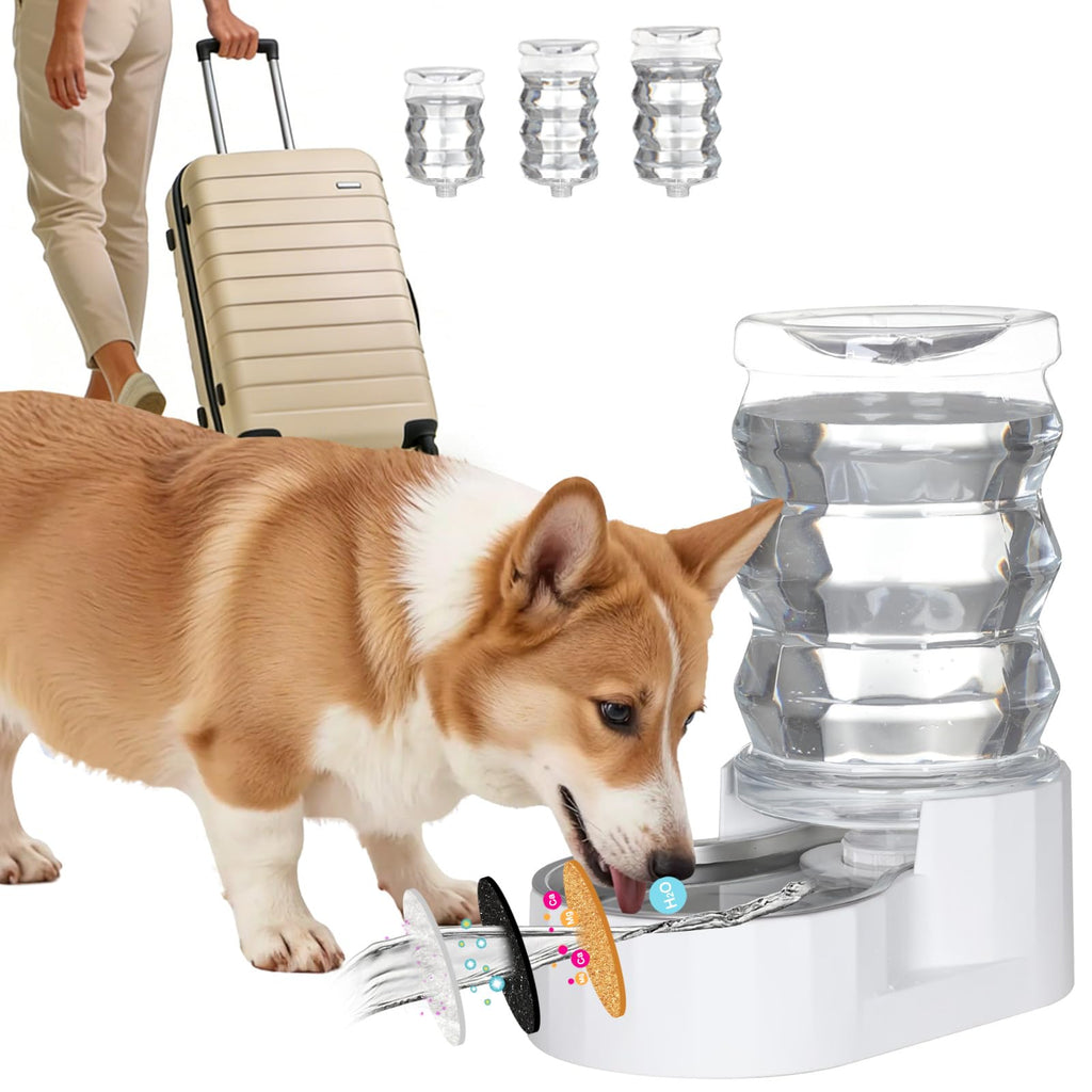RIZZARI Stainless Steel Gravity Water Dispenser – BPA-Free