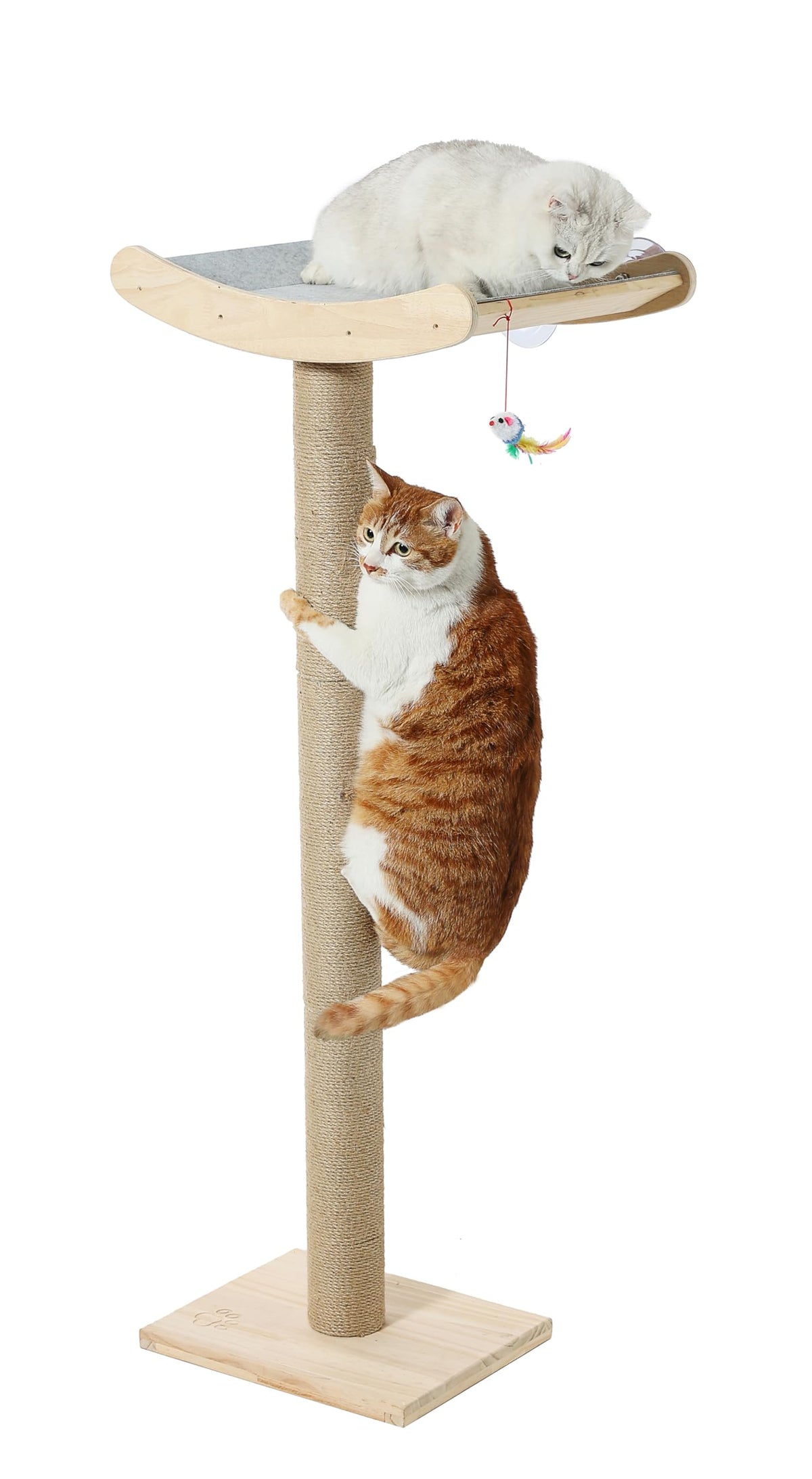 Cat Window Perch with Tall Scratching Posts, Inside Climbing Tree Hammmock Mounted with Suction Cups for Sleeping,Playing and Watching Birds