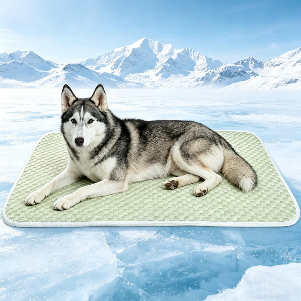 GOLOPET Cooling Warm mat