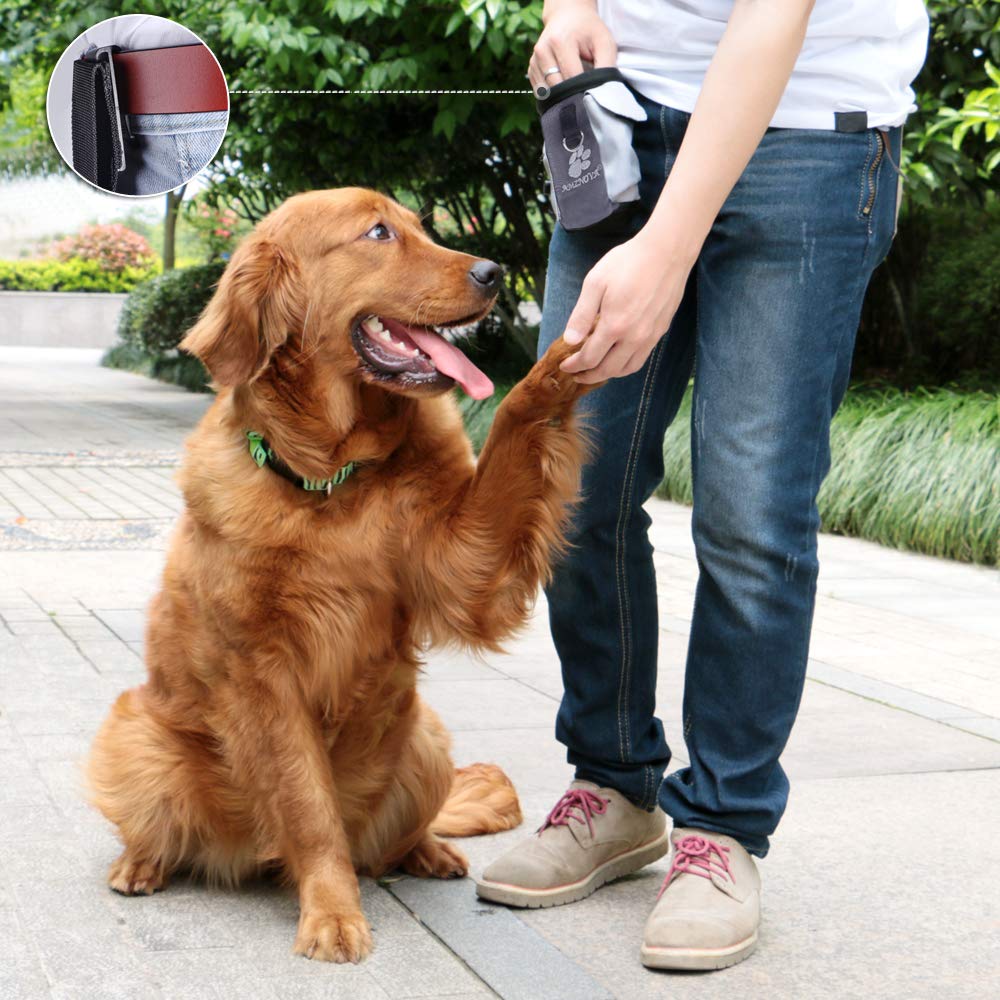 AMZNOVA Treatnow Dog Treat Pouch for Training & Walking