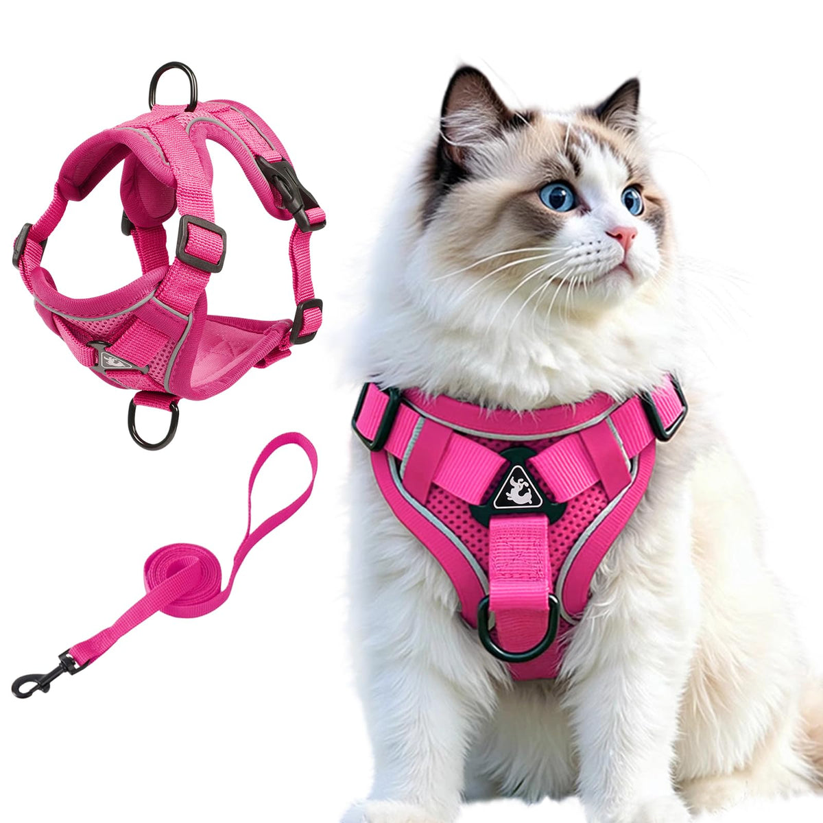 CAT Harness