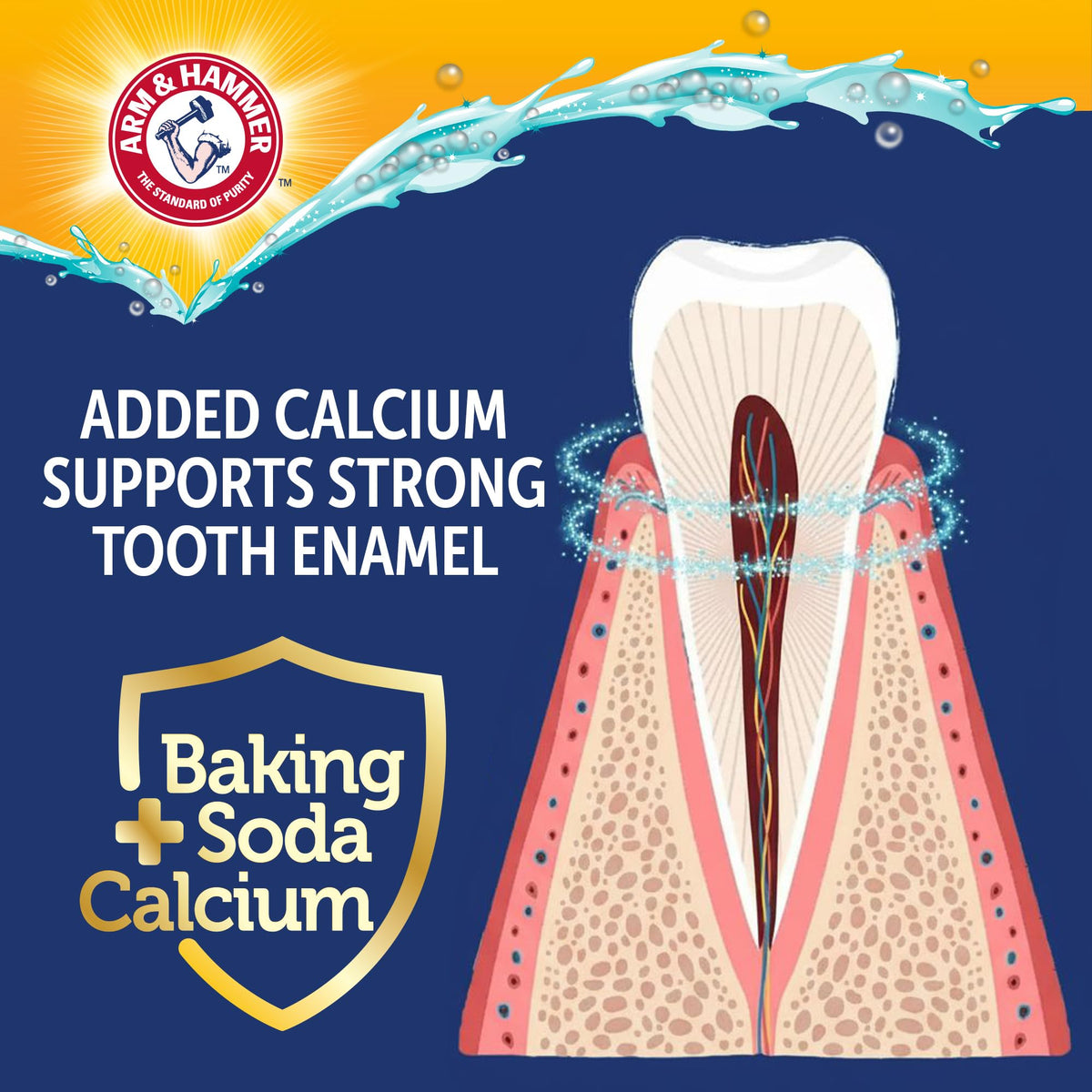 Arm and Hammer Complete Care Dog Dental Kit