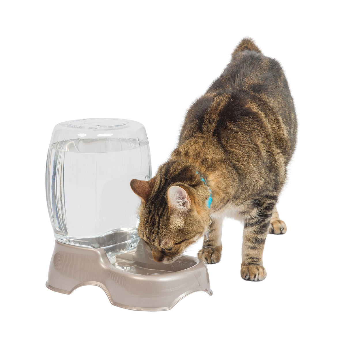 Petmate Pet Cafe Waterer Cat and Dog Water Dispenser