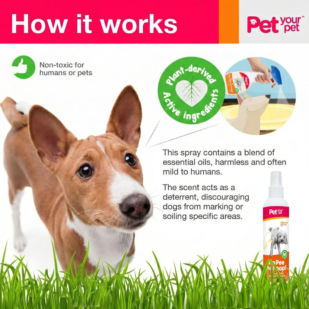 PET YOUR PET Dog Potty Training Spray for Indoor & Outdoor Use