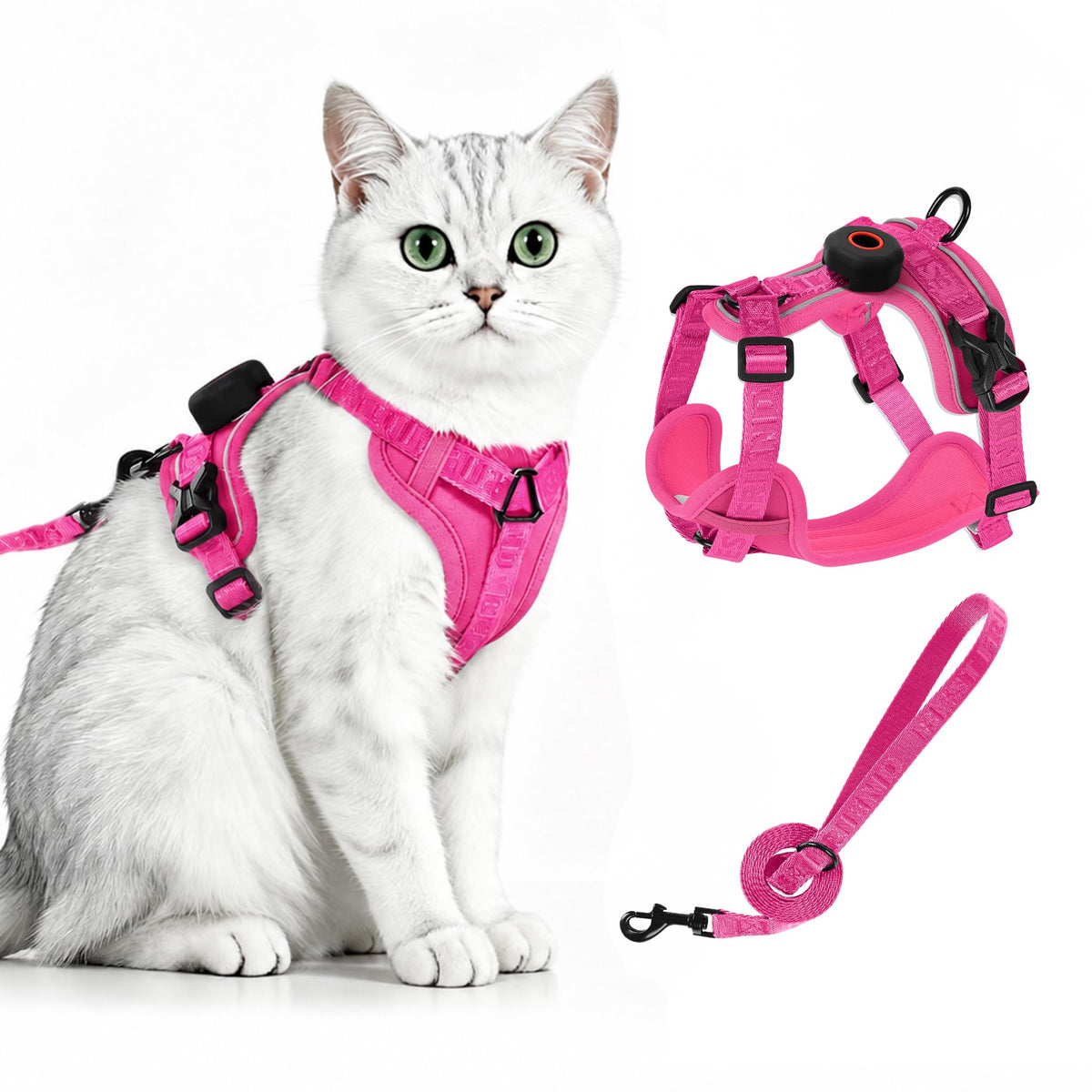 CAT Harness