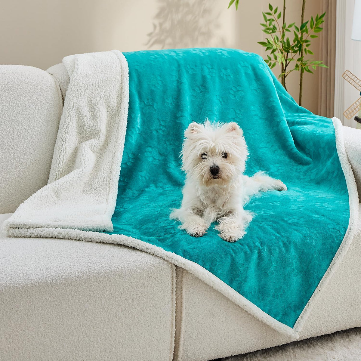 Qeils Waterproof Cat Blanket, Soft Pet Blanket for Sofa Couch