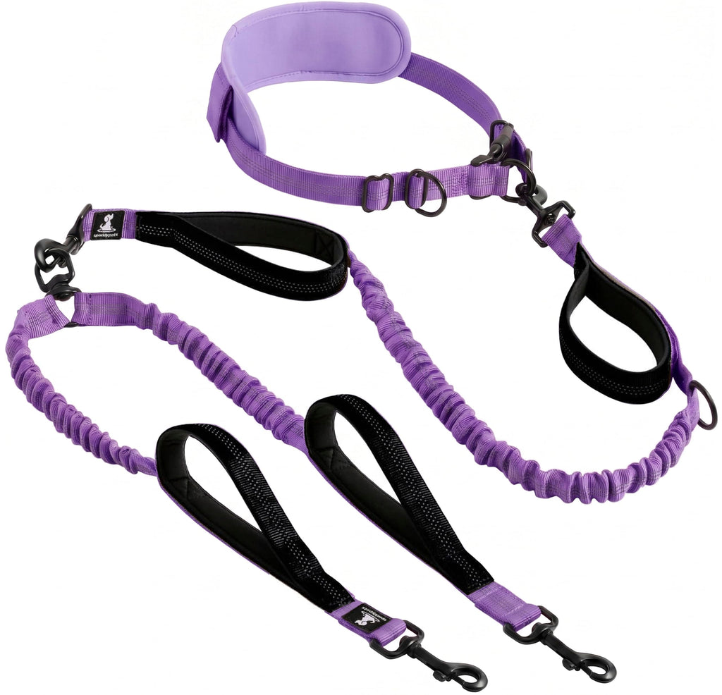 SparklyPets - Dog Leash - Professional Harness with Reflective Stitches for Training, Walking, Jogging and Running Your Pet