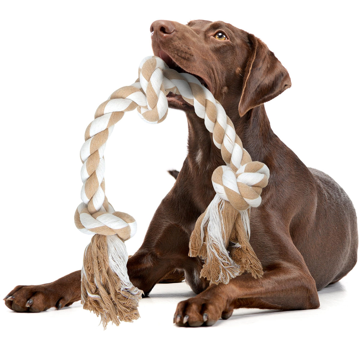 Fida Dog Rope Toys for Medium/Large Aggressive Chewers, Tough Indestructible Natural Cotton Rope, 3 Feet 5 Knots Tug of War Teeth Cleaning