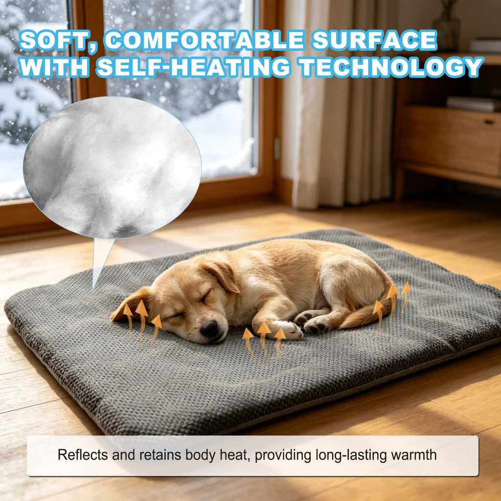 GOLOPET Cooling Warm mat