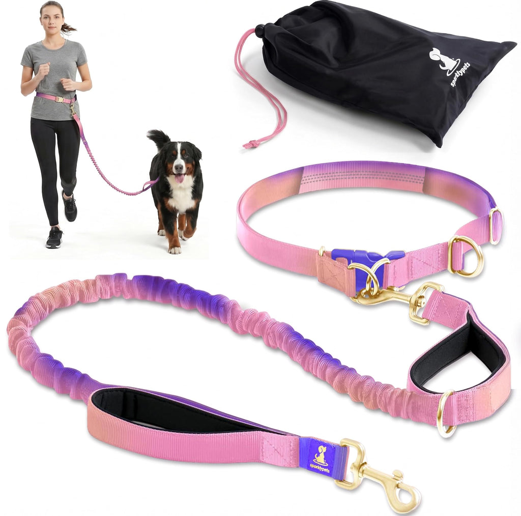 SparklyPets - Dog Leash - Professional Harness with Reflective Stitches for Training, Walking, Jogging and Running Your Pet