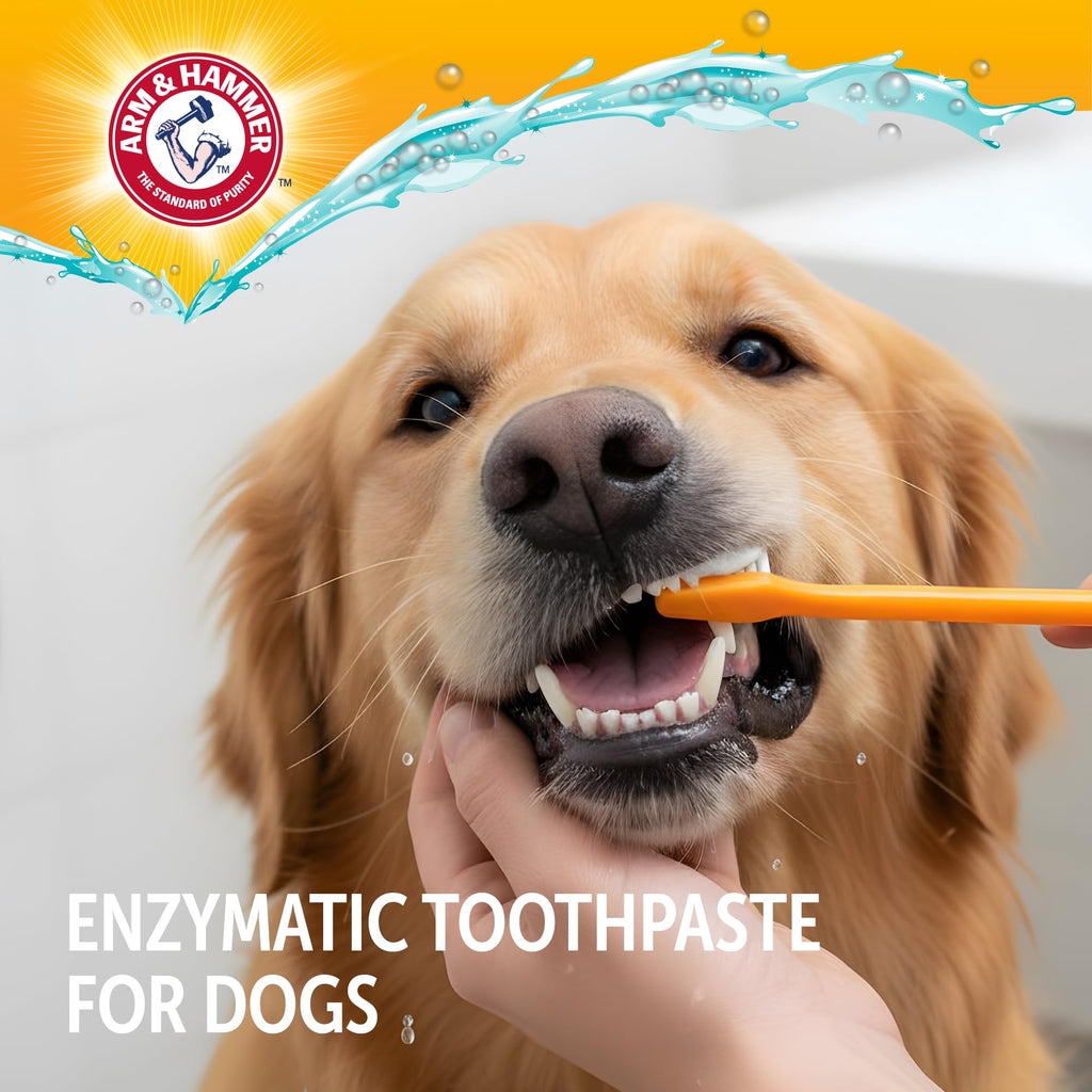 Arm and Hammer Complete Care Dog Dental Kit