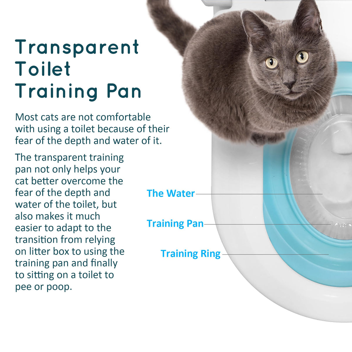 Cat Toilet Trainer Kit