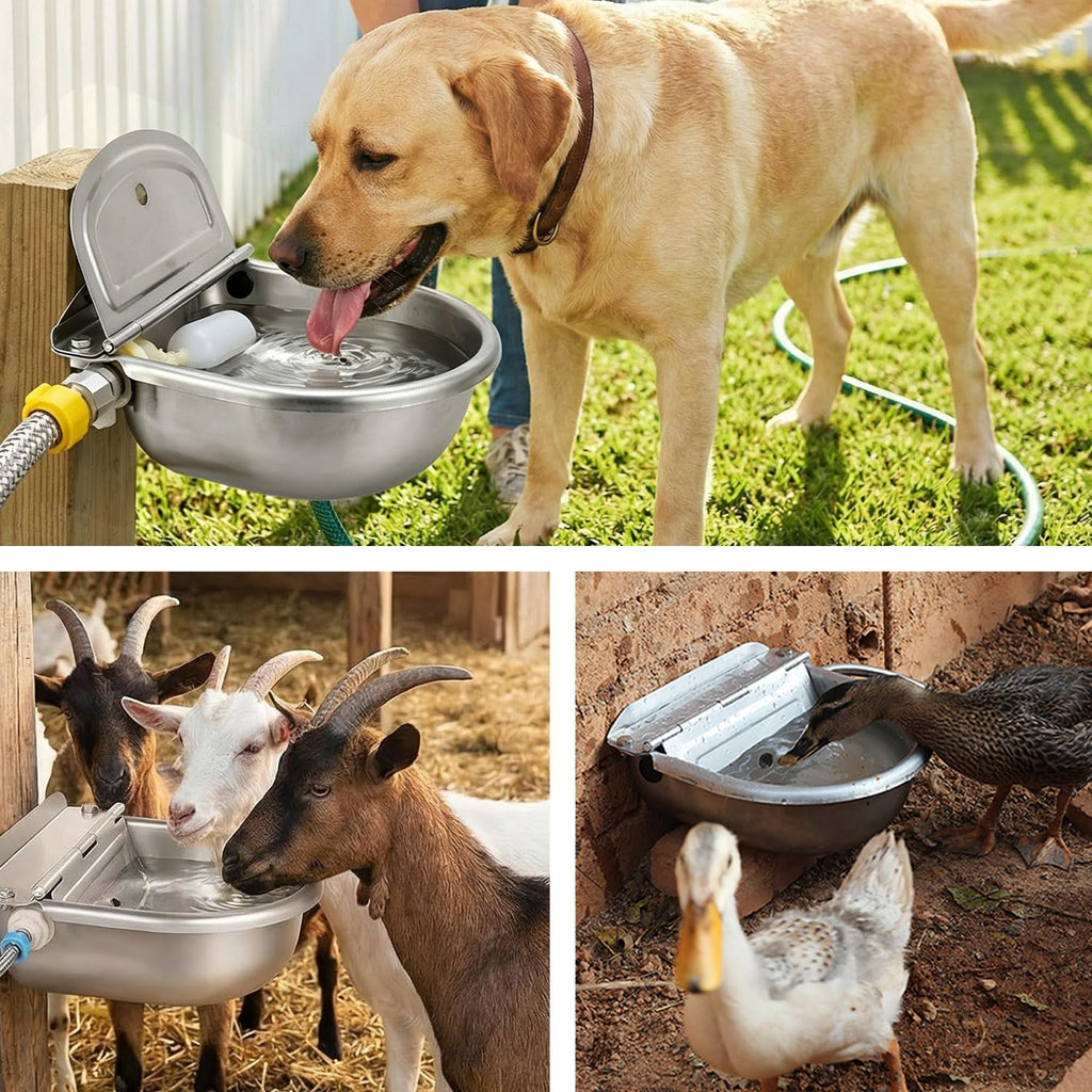 Automatic Dog Water Dispenser Outdoor Water Bowl for Dog, Chicken Livestock