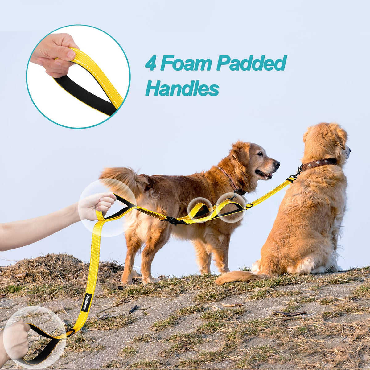 PetBonus No Tangle Double Dog Leash and Dog Seat Belt for Car