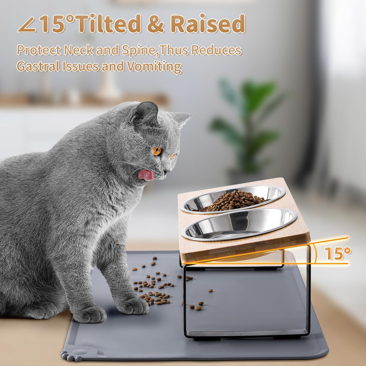 Summark Upgraded Elevated Raised Cat Bowls with Food Mat