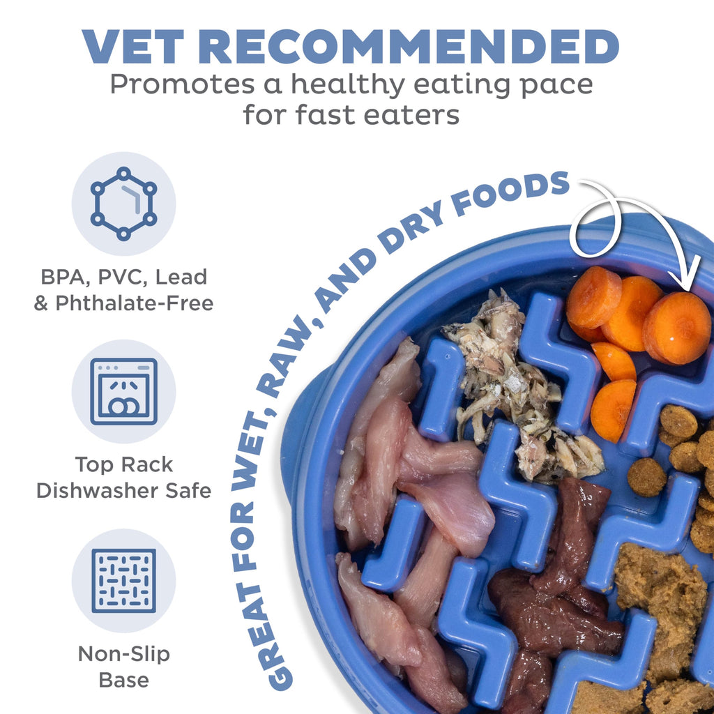 Outward Hound Fun Feeder Stainless Steel Slo Bowl for Dogs, Medium