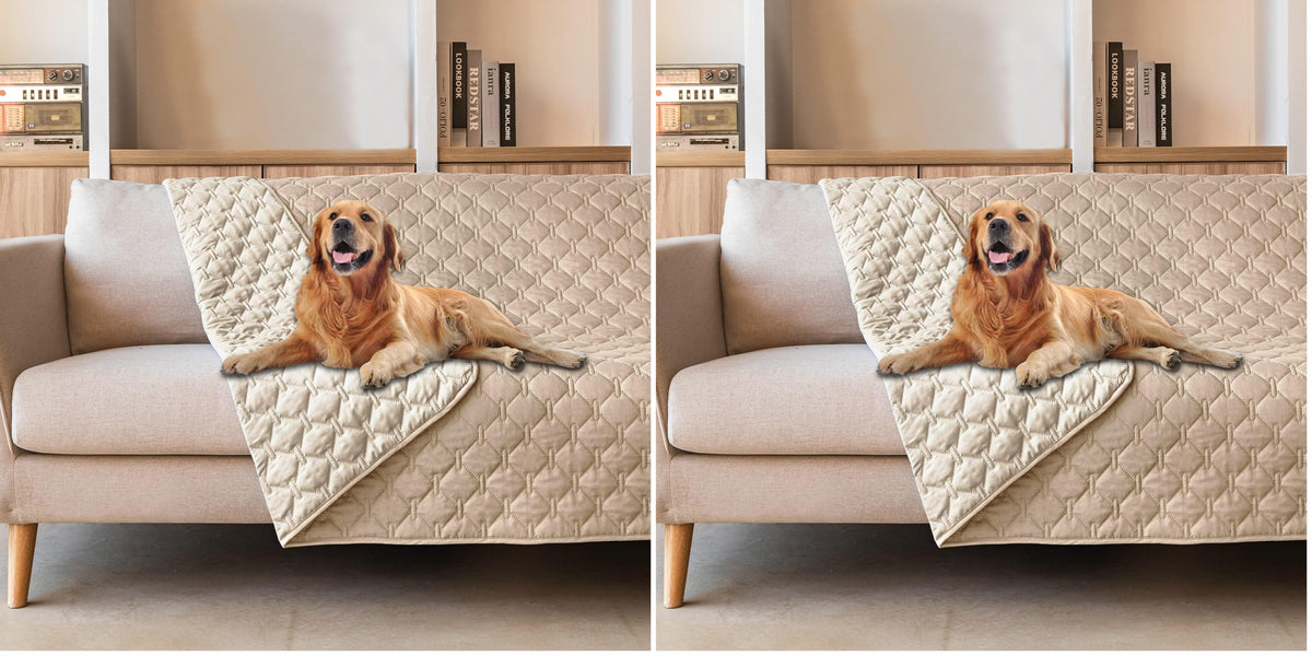 gogobunny Reversible Waterproof Pet Blanket & Furniture Cover