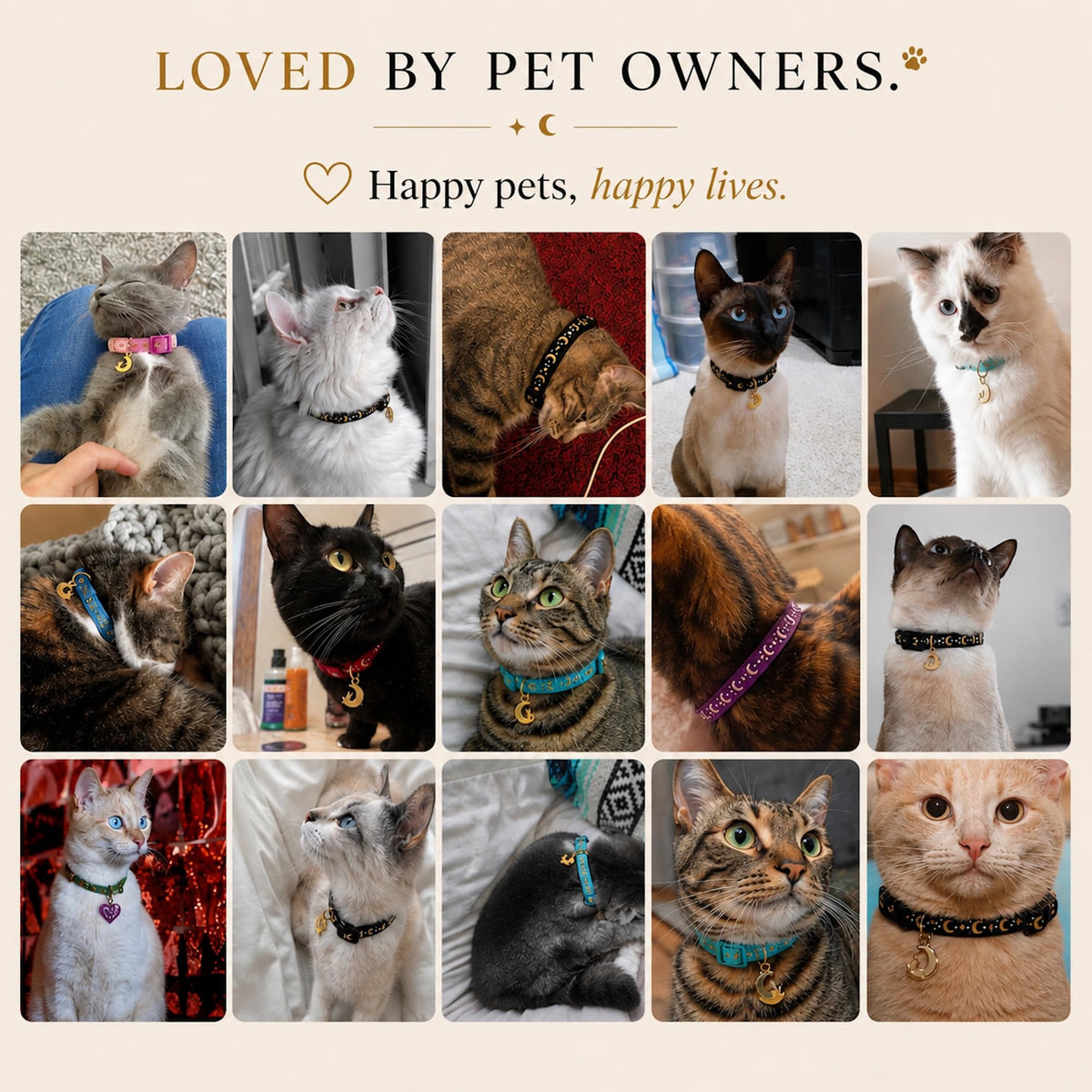 Cat Collar Breakaway with Bell for Kittens & Cats