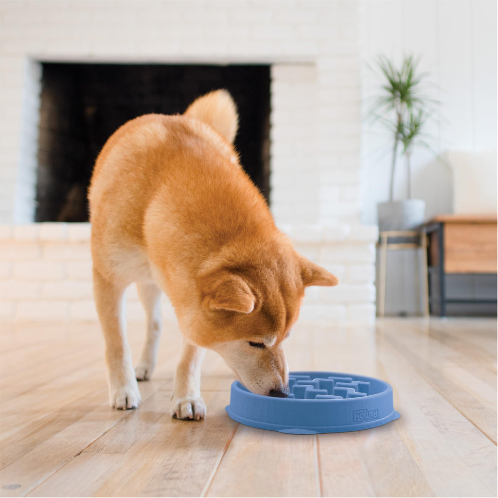 Outward Hound Fun Feeder Stainless Steel Slo Bowl for Dogs, Medium