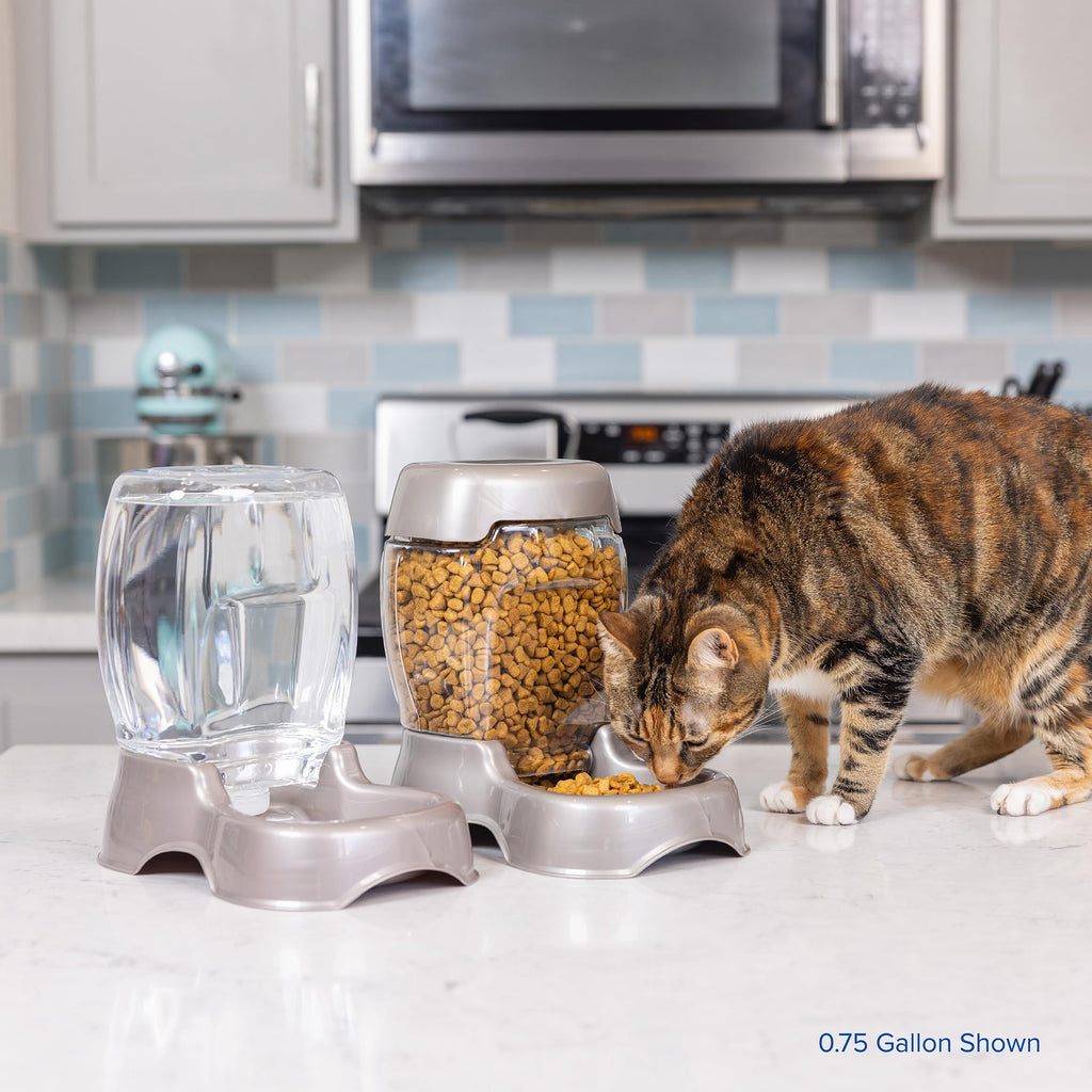 Petmate Pet Cafe Waterer Cat and Dog Water Dispenser