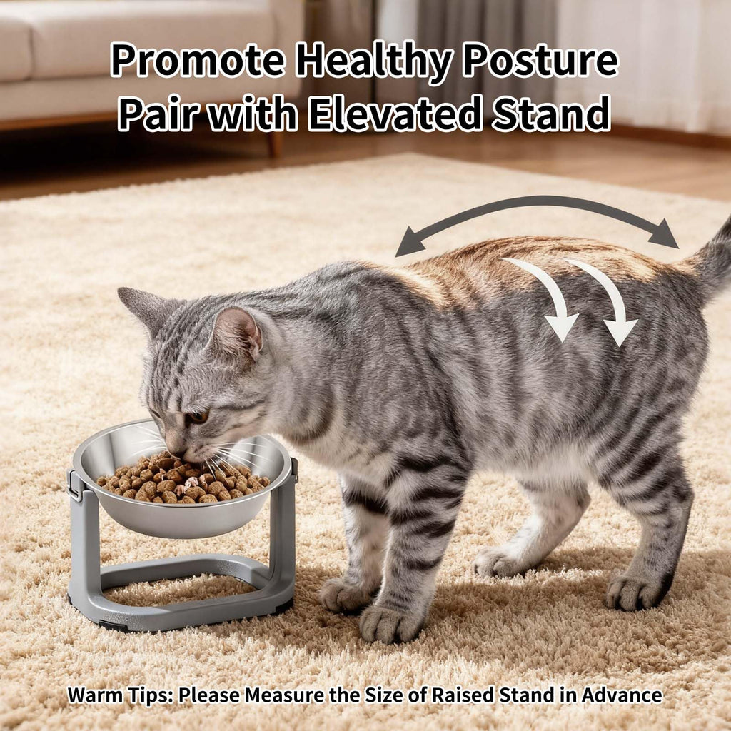 Tifanso 6PCS Stainless Steel Whisker Friendly Cat Food & Water Bowls