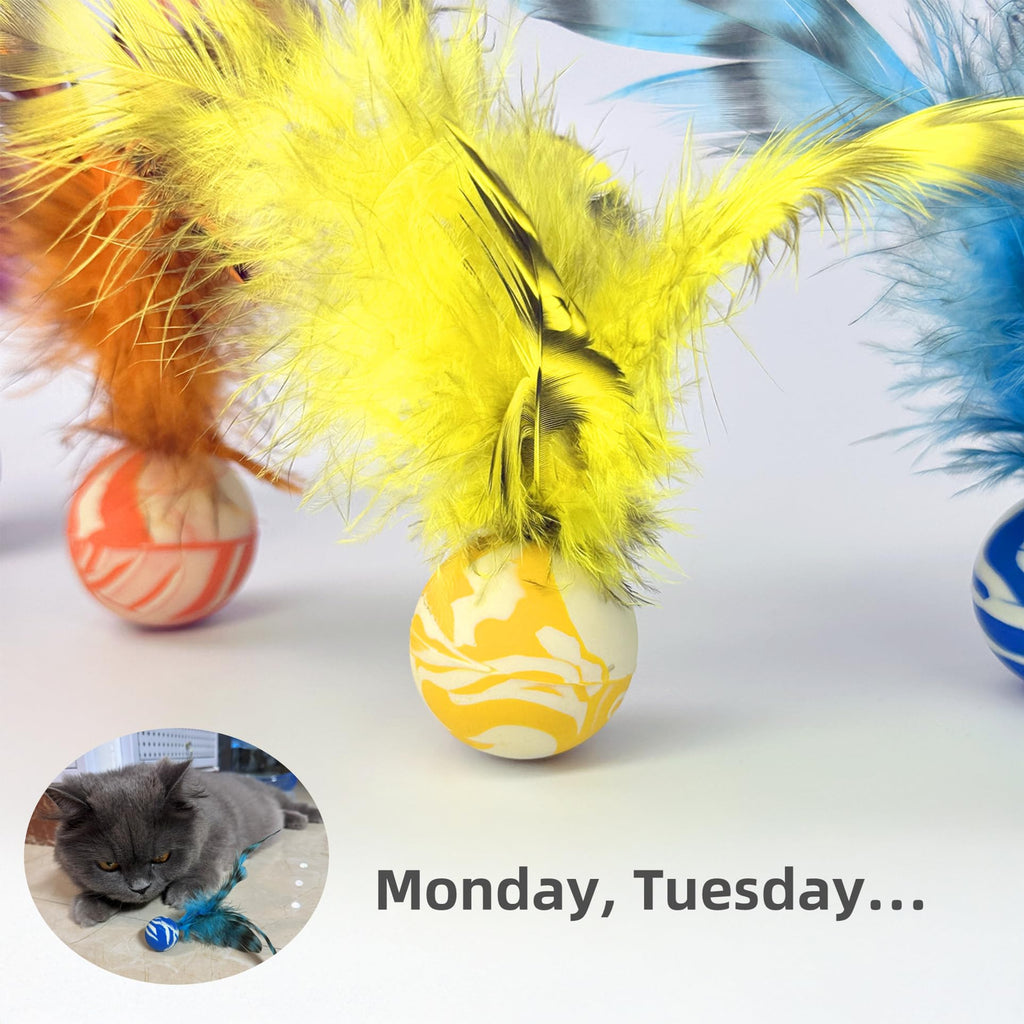ZAYLUMO Feather Chase & Fetch Balls for Indoor Cats – 5 Pack Durable Rubber Cat Toys with Natural Feathers, Interactive Exercise & Hunting Play, Bouncy Balls for Active Kittens and Adult Cats