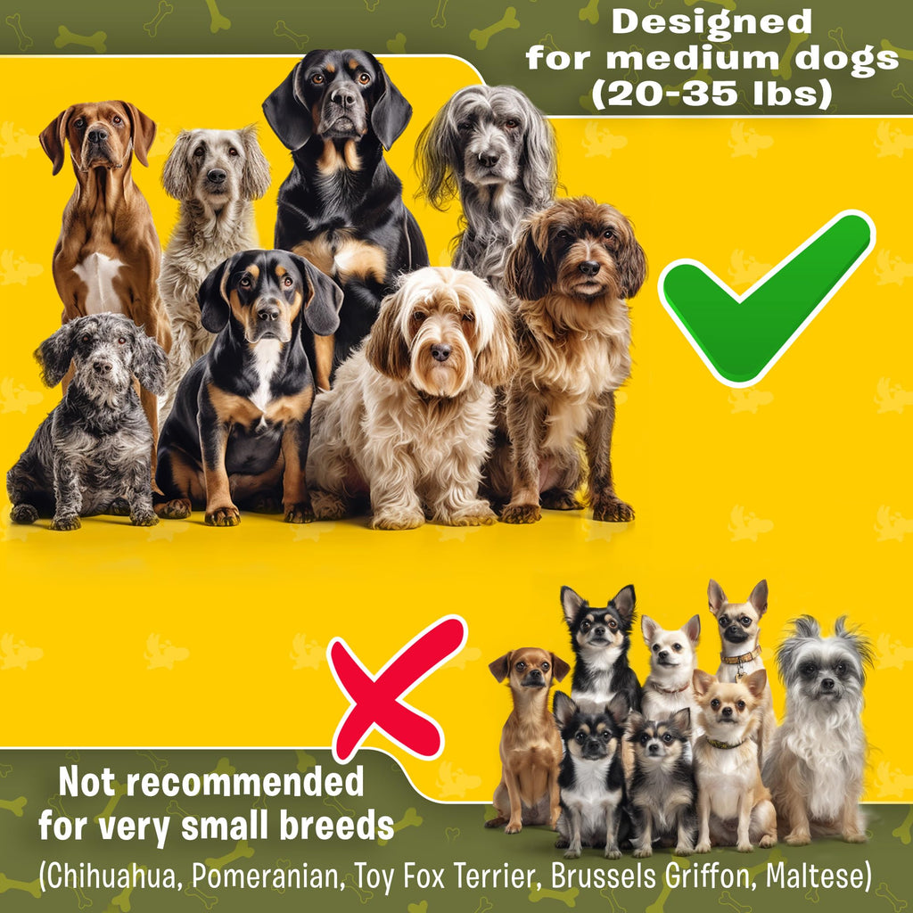Pet Dreamland Exquisite Double Dog Leash Coupler for Two Large Dogs No Tangle. Comfortable Dual Dog Attachment for Walking Two Dogs. You Will Absolutely Love the Amazing Tangle-Free Swivel