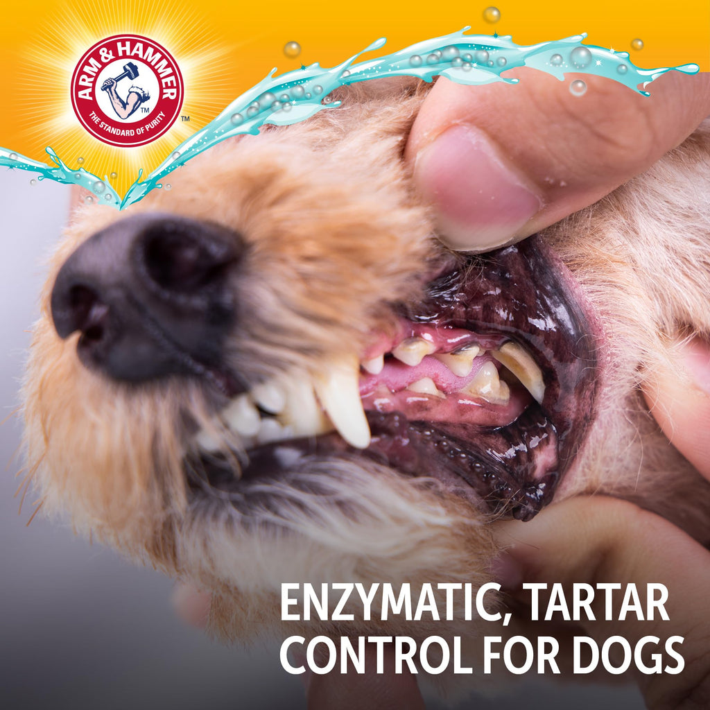 Arm and Hammer Complete Care Dog Dental Kit