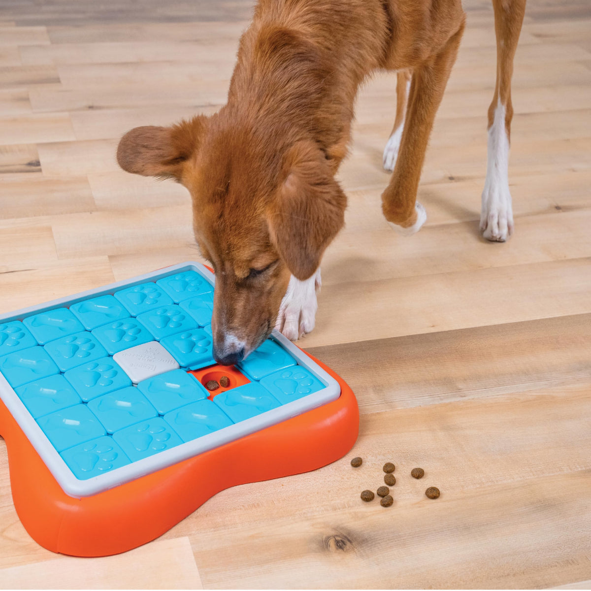 Outward Hound by Nina Ottosson Interactive Treat Puzzle Enrichment Toy