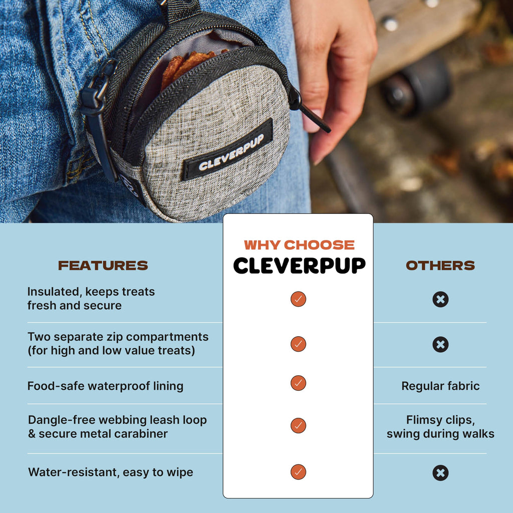 Cleverpup Snackpack Double Insulated Dog Treat Pouch – 1.5 Cup Capacity, 2 BPA-Free Waterproof Zipper Pockets, Carabiner for Belt/Leash – Compact Training & Travel Bag –