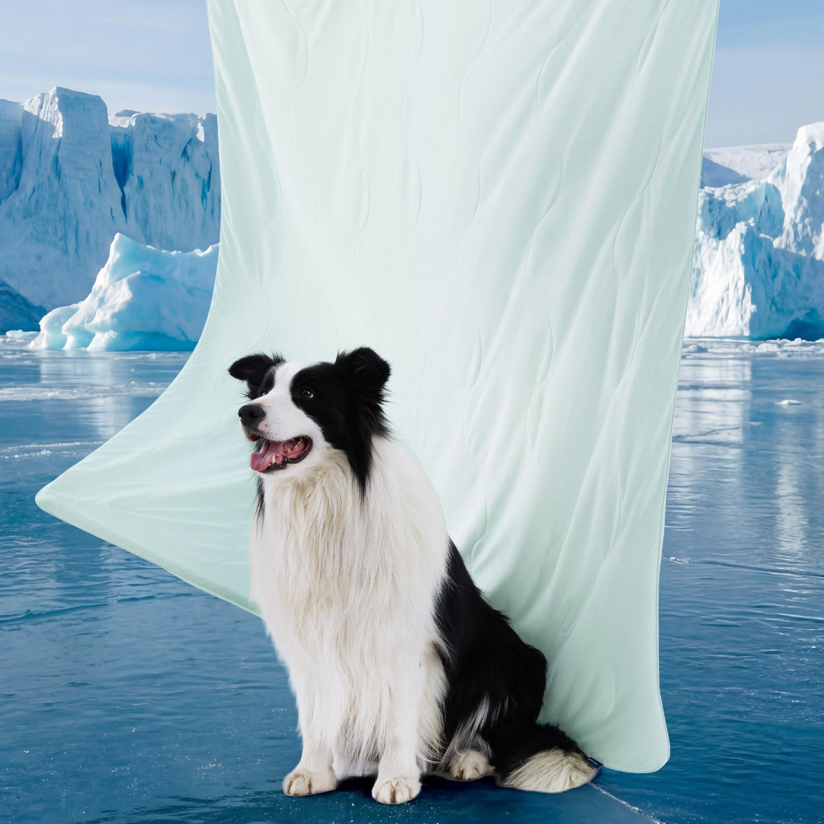 Bedsure Cooling Blanket for Dogs & Cats with Air-Core Fill