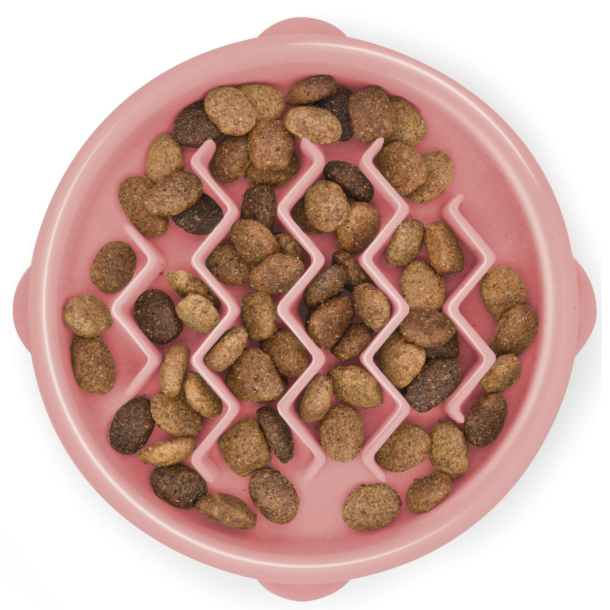 Outward Hound Fun Feeder Stainless Steel Slo Bowl for Dogs, Medium