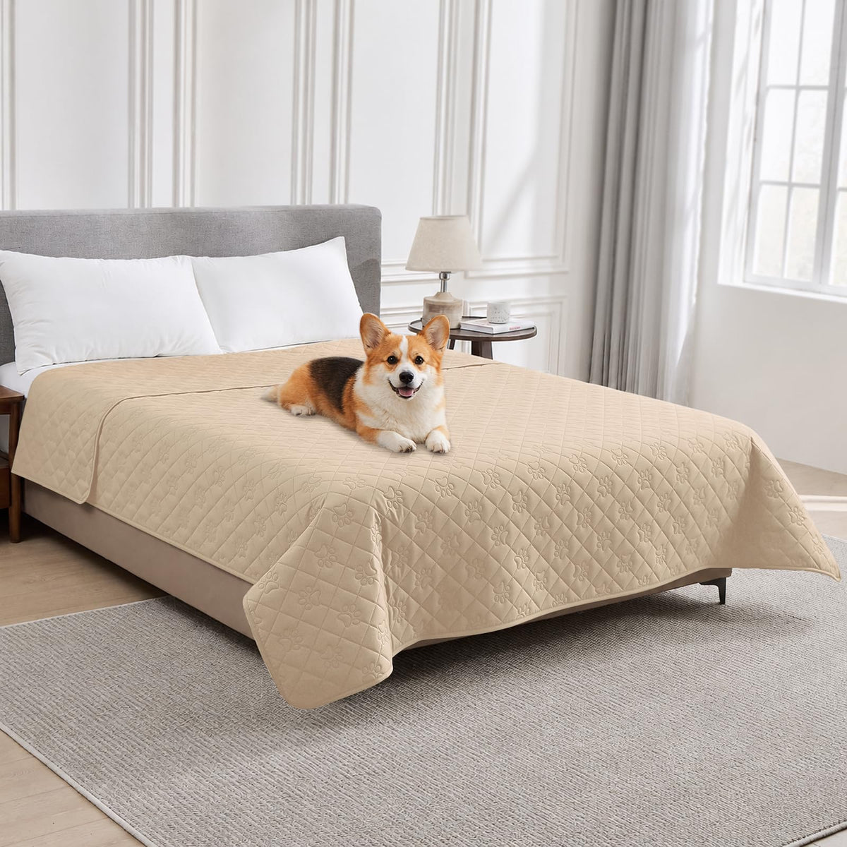 PAWFINITY Waterproof Dog Blanket for Couch, Sofa & Bed, Washable Pet Furniture Cover Covers for Pets