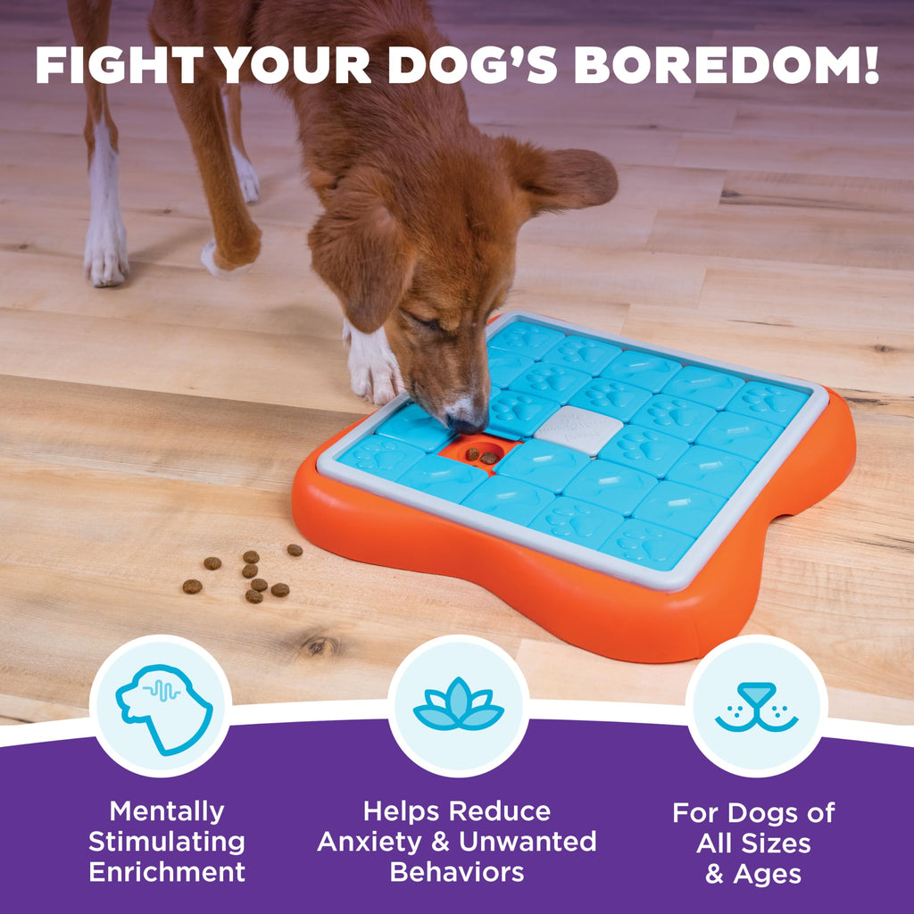 Outward Hound by Nina Ottosson Interactive Treat Puzzle Enrichment Toy