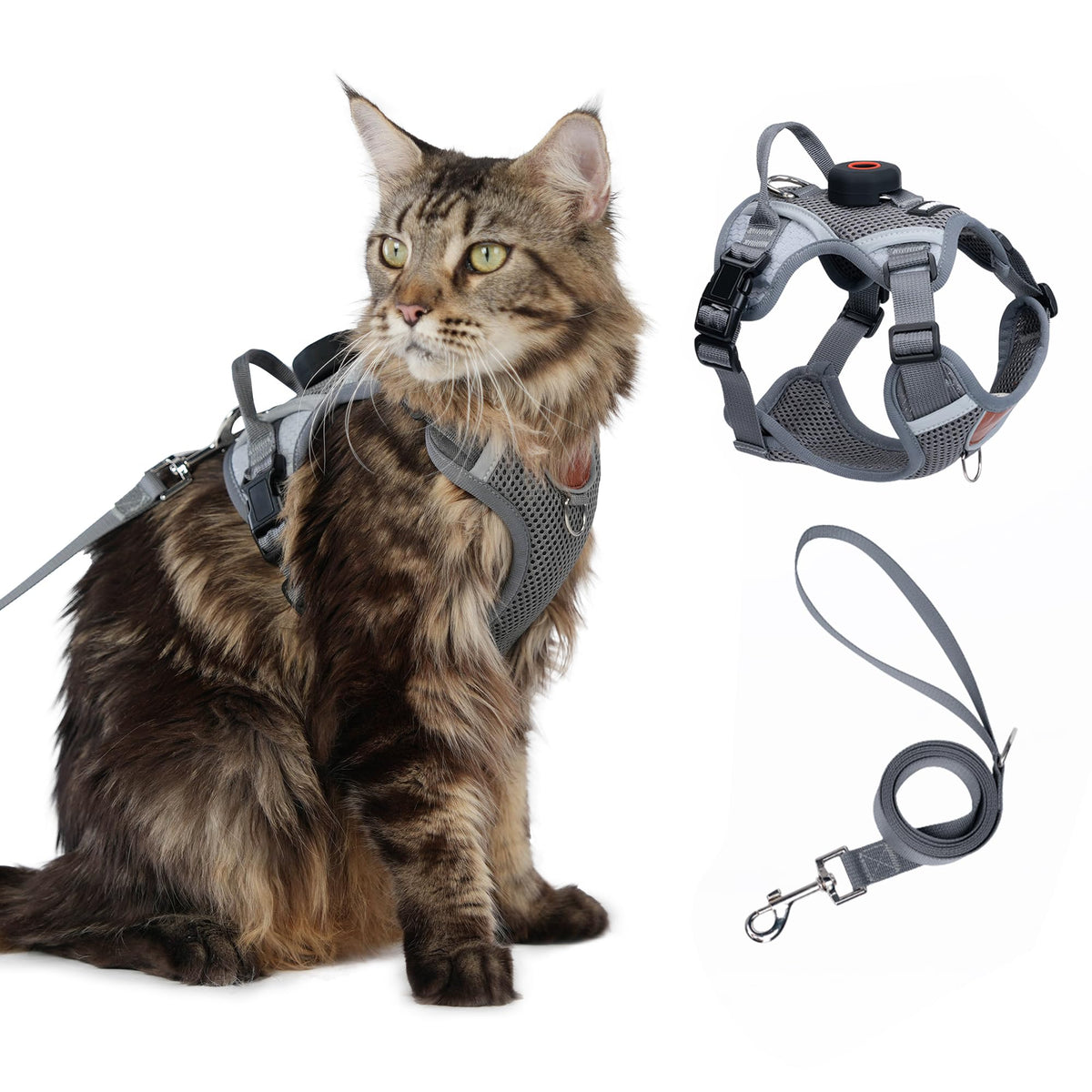 CAT Harness