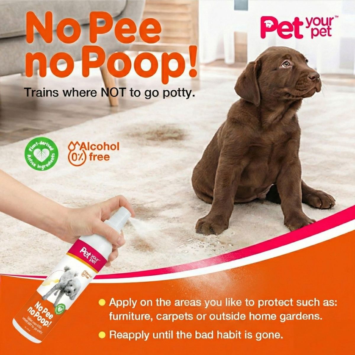 PET YOUR PET Dog Potty Training Spray for Indoor & Outdoor Use