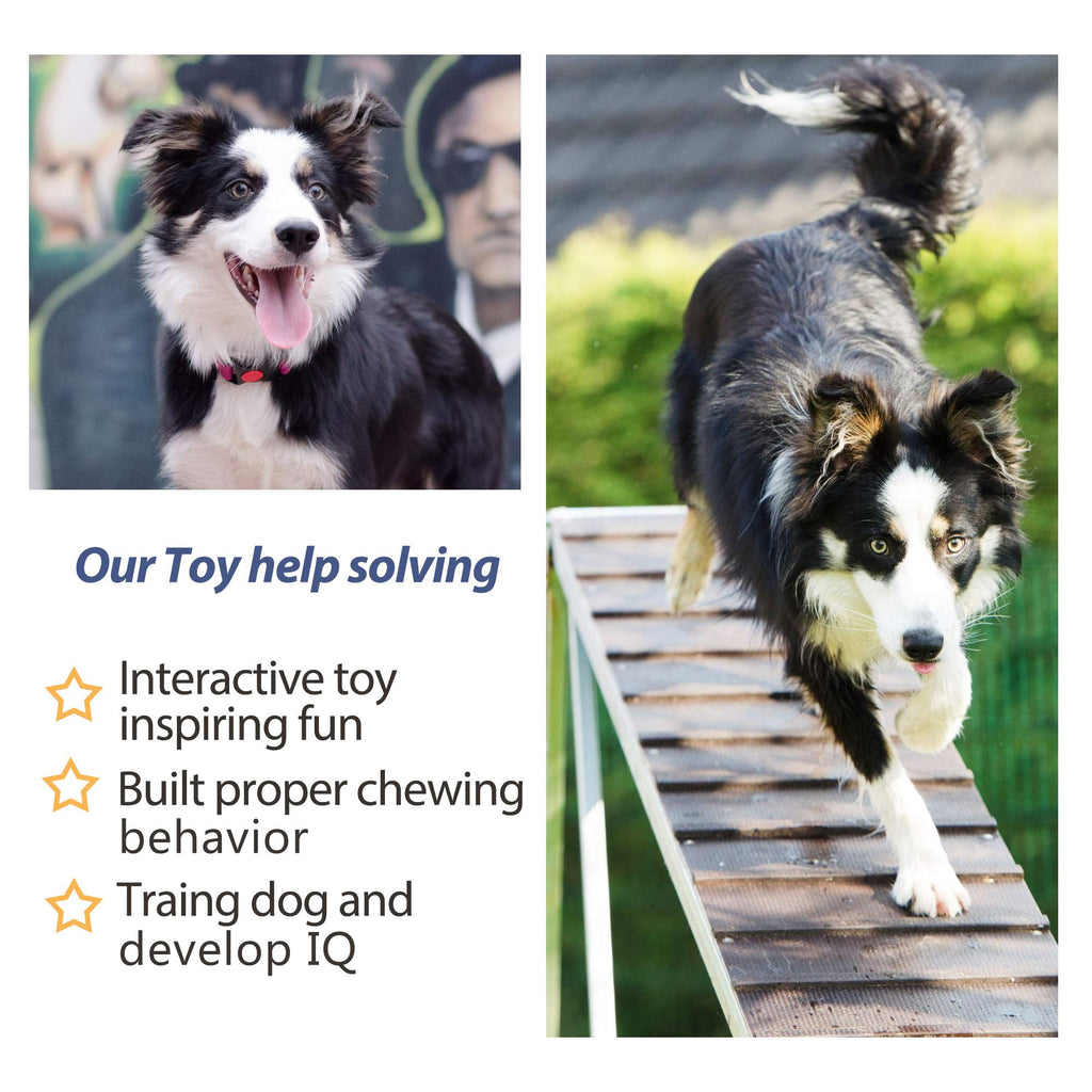 Fida Dog Rope Toys 4 Pack, Puppy Teething Sturdy Cotton Chew Tug Ropes Indoor/Outdoor, Exercise Interactive Tug O'War Toys Set for Boredom Small-Meidum Dogs