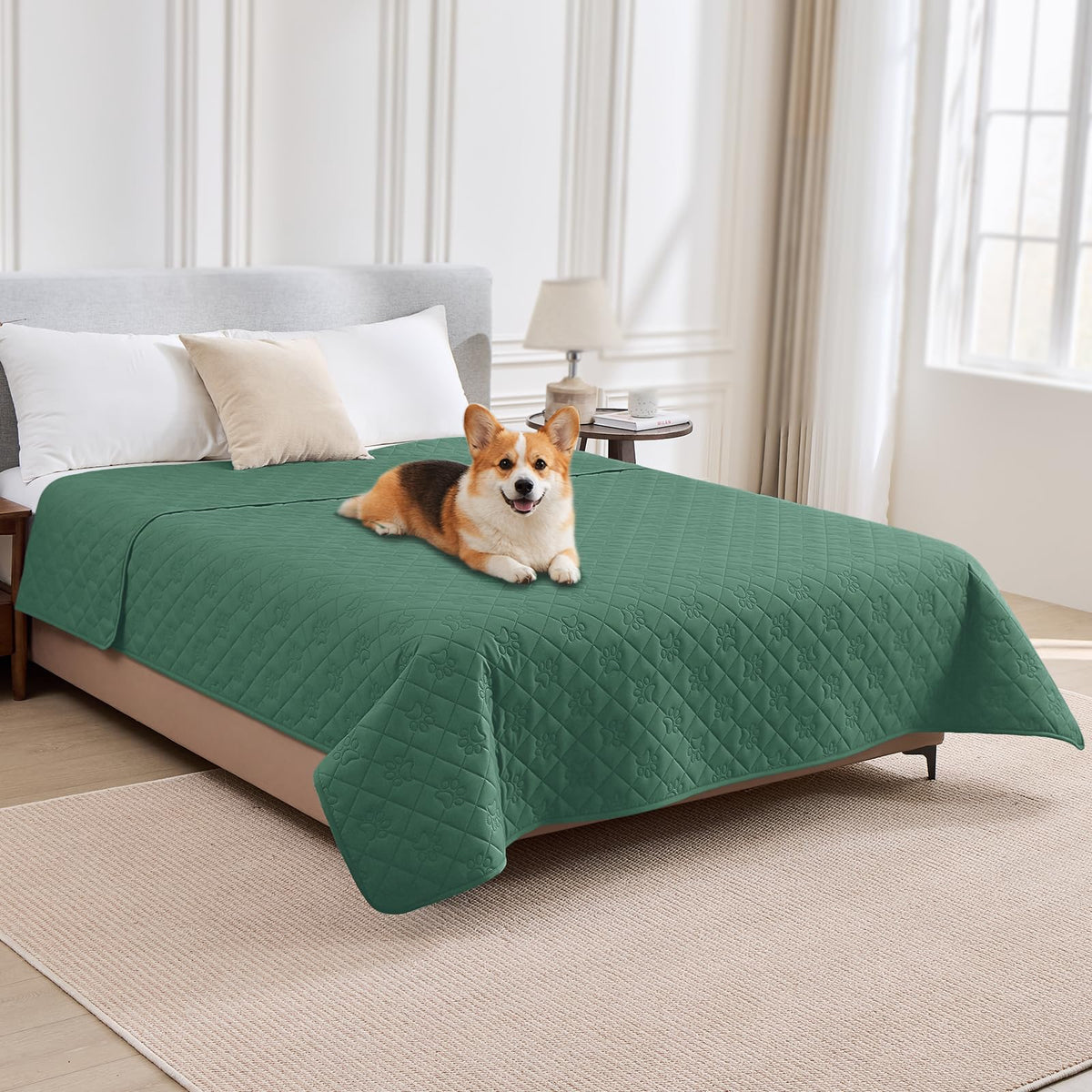 PAWFINITY Waterproof Dog Blanket for Couch, Sofa & Bed, Washable Pet Furniture Cover Covers for Pets