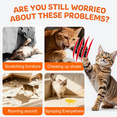 Anowbo Cat Deterrent Spray - Cat Deterrent for Furniture Protection, Cat Repellent Indoor and Outdoor