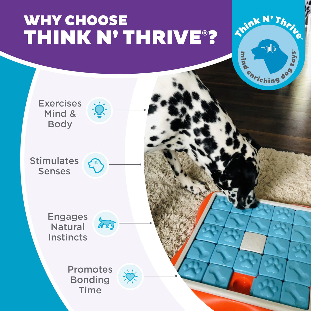 Outward Hound by Nina Ottosson Interactive Treat Puzzle Enrichment Toy