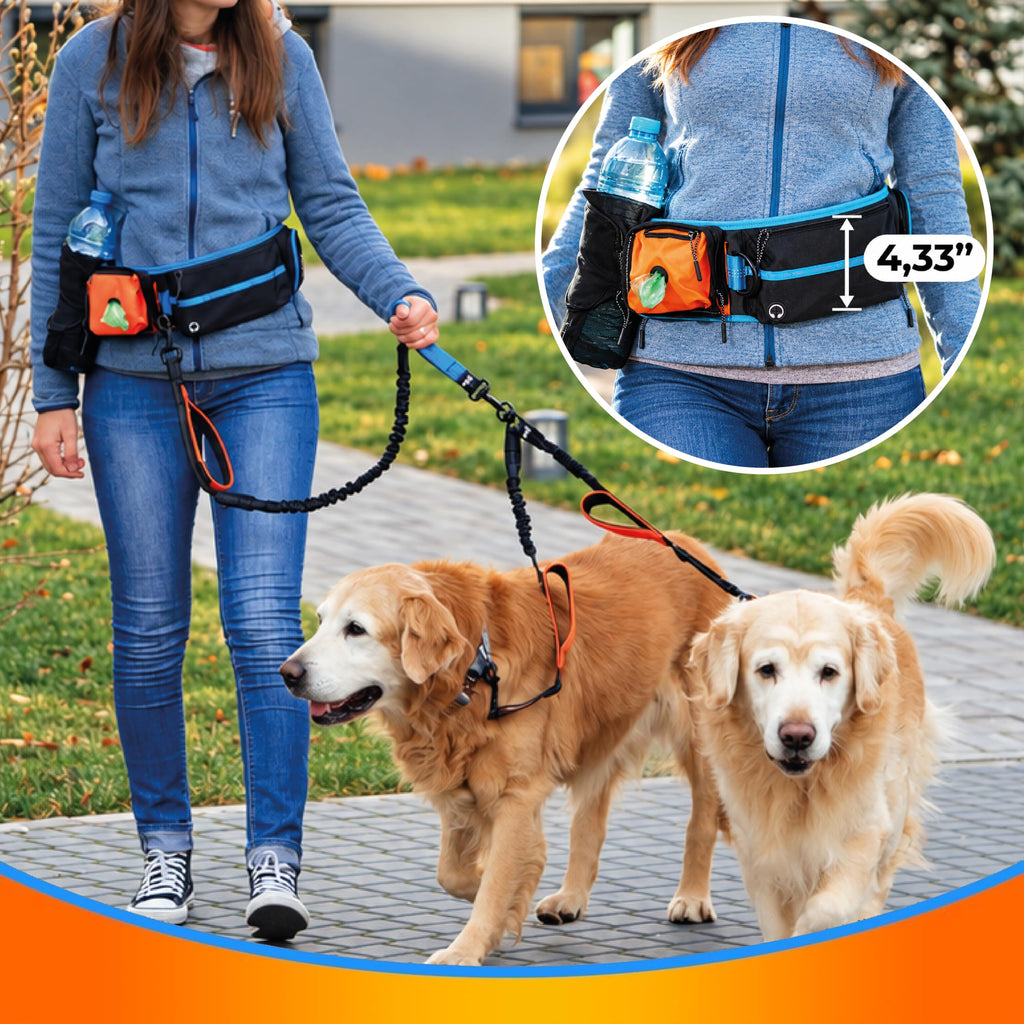 SparklyPets - Dog Leash - Professional Harness with Reflective Stitches for Training, Walking, Jogging and Running Your Pet